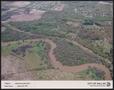Primary view of [Dallas County Nature Preserve - McCommas Bluff]