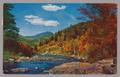 Postcard: [Postcard of the Ausable River and Whiteface Mountain]
