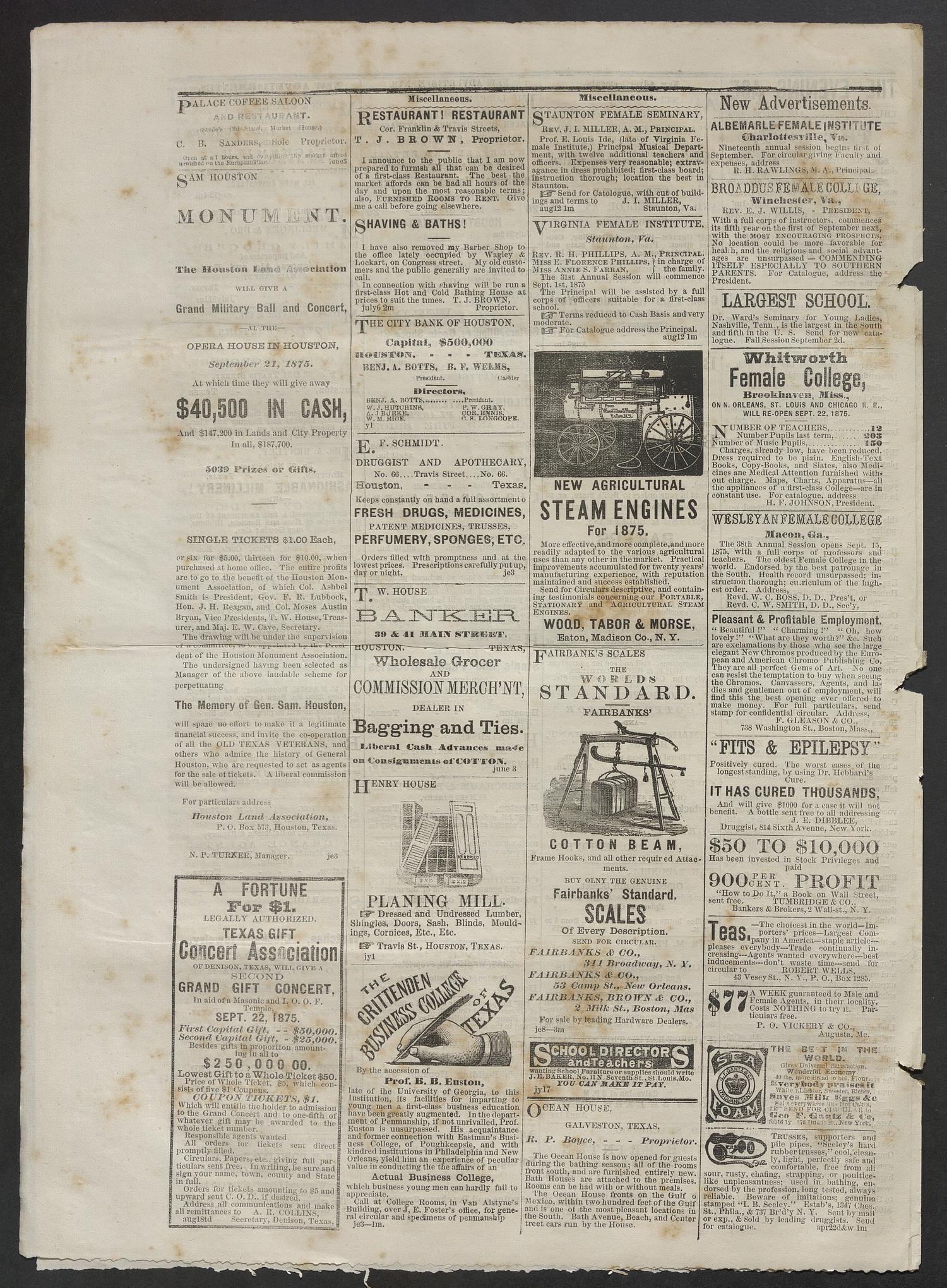 The Age. (Houston, Tex.), Vol. 5, No. 60, Ed. 1 Thursday, August 26, 1875
                                                
                                                    [Sequence #]: 4 of 4
                                                