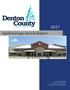 Report: Denton County Epidemiology Annual Report: 2017