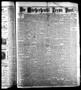 Newspaper: Die Wöchentliche Texas Post. (Houston, Tex.), Vol. 3, No. 50, Ed. 1 S…