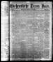 Primary view of Wöchentliche Texas Post. (Galveston, Tex.), Vol. 7, No. 38, Ed. 1 Thursday, July 13, 1876