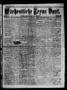 Newspaper: Wöchentliche Texas Post. (Galveston, Tex.), Vol. 2, No. 33, Ed. 1 Sun…
