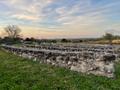 Primary view of [Ignacio S. Zaragoza Birthplace: Stone Amphitheater]