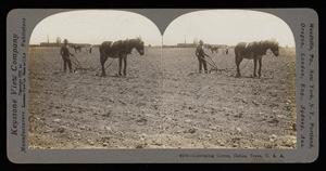 Primary view of object titled 'Cultivating Cotton, Dallas, Texas'.