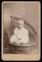 Photograph: [An Unidentified Infant Sitting for a Portrait]