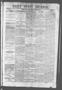 Primary view of Daily State Journal. (Austin, Tex.), Vol. 2, No. 79, Ed. 1 Friday, April 28, 1871