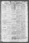 Primary view of Daily State Journal. (Austin, Tex.), Vol. 2, No. 163, Ed. 1 Sunday, August 6, 1871