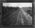 Thumbnail image of item number 1 in: '[Dirt road past corn field]'.
