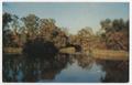Postcard: [Postcard of Devil's Elbow, Big Cypress Bayou, Caddo Lake]