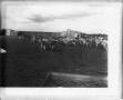Primary view of [Cattle in front of shed]