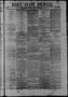 Thumbnail image of item number 1 in: 'Daily State Journal. (Austin, Tex.), Vol. 1, No. 236, Ed. 1 Wednesday, November 2, 1870'.