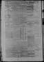 Thumbnail image of item number 3 in: 'Daily State Journal. (Austin, Tex.), Vol. 1, No. 257, Ed. 1 Sunday, November 27, 1870'.