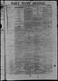 Thumbnail image of item number 1 in: 'Daily State Journal. (Austin, Tex.), Vol. 1, No. 258, Ed. 1 Tuesday, November 29, 1870'.