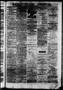 Primary view of Daily State Journal. (Austin, Tex.), Vol. 3, No. 264, Ed. 1 Monday, December 9, 1872