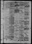 Thumbnail image of item number 3 in: 'Daily State Journal. (Austin, Tex.), Vol. 4, No. 22, Ed. 1 Tuesday, February 25, 1873'.