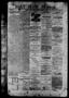 Primary view of Daily State Journal. (Austin, Tex.), Vol. 4, No. 27, Ed. 1 Monday, March 3, 1873