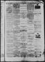 Thumbnail image of item number 3 in: 'Daily State Journal. (Austin, Tex.), Vol. 1, No. 7, Ed. 1 Sunday, February 6, 1870'.
