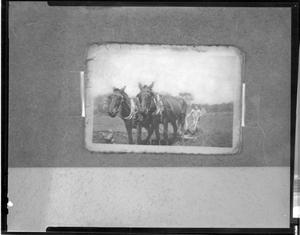 Primary view of object titled '[Boy Plowing Field]'.
