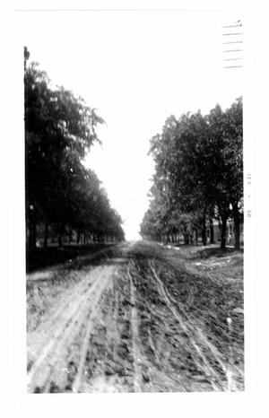 Primary view of object titled 'Main Street Looking North'.