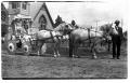 Photograph: Decorated Pony Cart