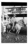 Photograph: John Ashley on a horse