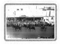 Primary view of Riders on Horseback in Parade