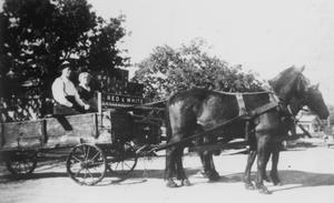 Primary view of object titled '[Couple in a Wagon in Andice]'.