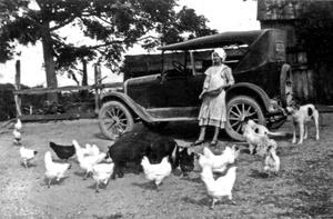 Primary view of object titled '[Frances Cmerck & chickens with car ]'.