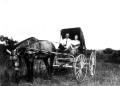 Photograph: [Horse-drawn wagon]