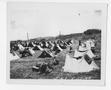 Primary view of [Rows of Tents in an Encampment ]