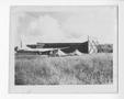Photograph: [1894 Aviation Engineer Battalion Plane in a Field]