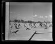 Primary view of [Military Service Members Playing Sports at Okinawa Officers Club and Recreation]