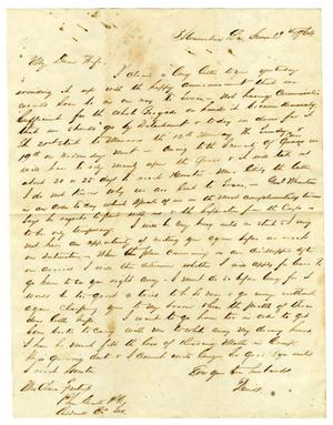 Primary view of object titled '[Letter from David Fentress to his wife Clara, June 19, 1864]'.