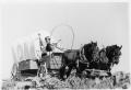 Thumbnail image of item number 1 in: 'Texas Sesquicentennial Wagon Train on the Way to Robstown'.