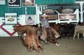 Photograph: Cutting Horse Competition: Image 1997_D-112_36