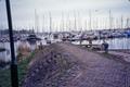 Photograph: [Boats Parked in a Harbor]