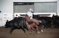 Photograph: Cutting Horse Competition: Image 1997_D-604_08