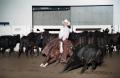 Photograph: Cutting Horse Competition: Image 1997_D-604_14