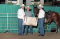 Photograph: Cutting Horse Competition: Image 1997_D-604_19