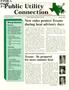 Journal/Magazine/Newsletter: Public Utility Connection, Volume 2, Number 1, Spring 1999