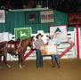 Photograph: Cutting Horse Competition: Image 1997_D-628_11