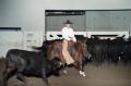 Primary view of Cutting Horse Competition: Image 1997_D-6_04