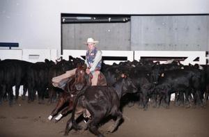 Primary view of object titled 'Cutting Horse Competition: Image 1997_D-6_21'.