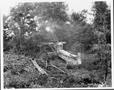 Photograph: Tree crusher clearing land, Box 3, Museum,B17