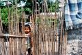 Photograph: [Chidren Behind a Residential Fence]