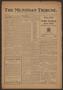 Newspaper: The Meridian Tribune. (Meridian, Tex.), Vol. 19, No. 2, Ed. 1 Friday,…