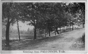 Primary view of object titled 'Greetings from Palo Pinto, Texas'.