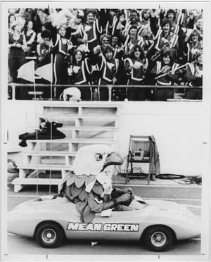 Primary view of object titled '[North Texas Mascot, 1979]'.