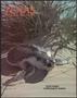 Journal/Magazine/Newsletter: Texas Parks & Wildlife, Volume 40, Number 5, May 1982